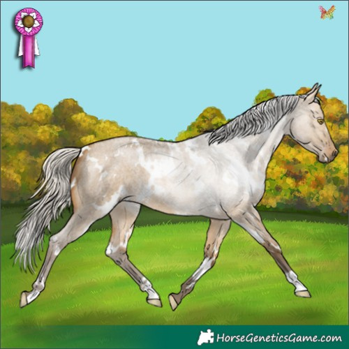 Horse Color:White Spotted Silver Buckskin Roan Dun 