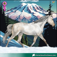 Horse Color:White Spotted Silver Buckskin Roan Dun