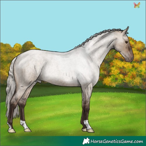 Horse Color:Silver Brown Roan Dun Rabicano 