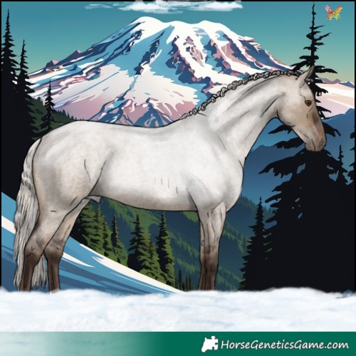 Horse Color:Silver Brown Roan Dun Rabicano 