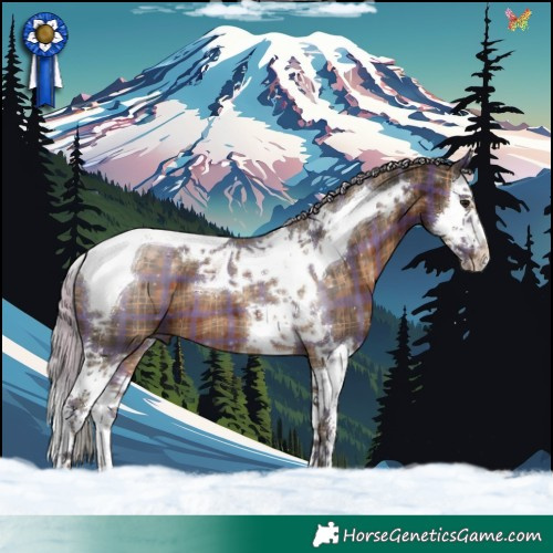 Horse Color:Plaid  Silver Brown Splash Tobiano 