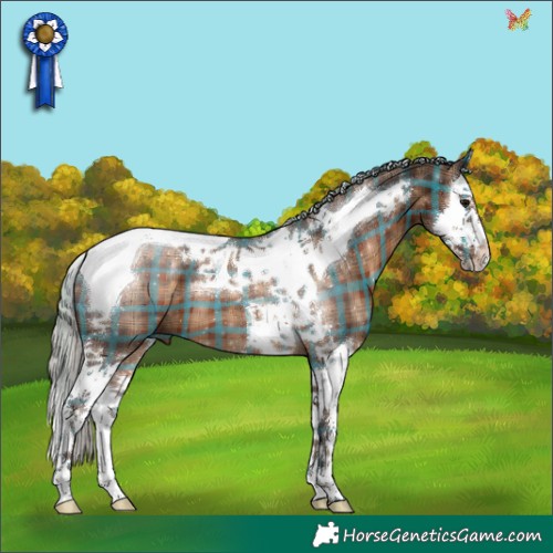 Horse Color:Plaid Silver Brown Splash Tobiano