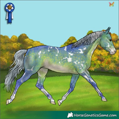 Horse Color:Watercolor White Spotted Silver Brown Sabino Rabicano 
