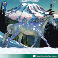 Horse Color:Watercolor White Spotted Silver Brown Sabino Rabicano 