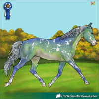 Horse Color:Watercolor White Spotted Silver Brown Sabino Rabicano 