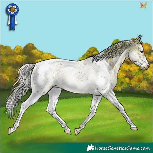 Horse Color:Plaid  Silver Brown Sabino Splash Tobiano Frame Rabicano 