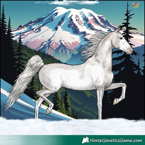 Horse Color:Silver Black Sabino Frame Varnish 