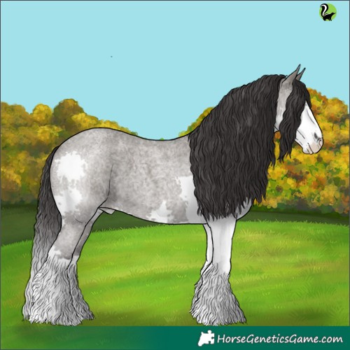 Horse Color:Smoky Grullo Roan Splash 