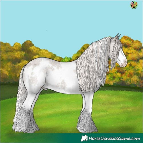Horse Color:White Spotted Silver Grullo Roan Splash Varnish 