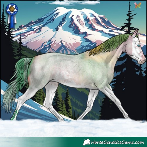 Horse Color:Watercolor Buckskin Roan Dun Splash 