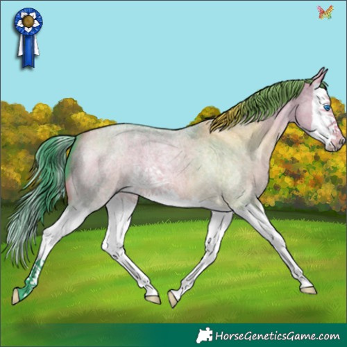 Horse Color:Watercolor Buckskin Roan Dun Splash 
