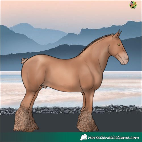 Horse Color:Gold Champagne 