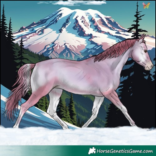 Horse Color:Watercolor Gold Champagne Onyx 