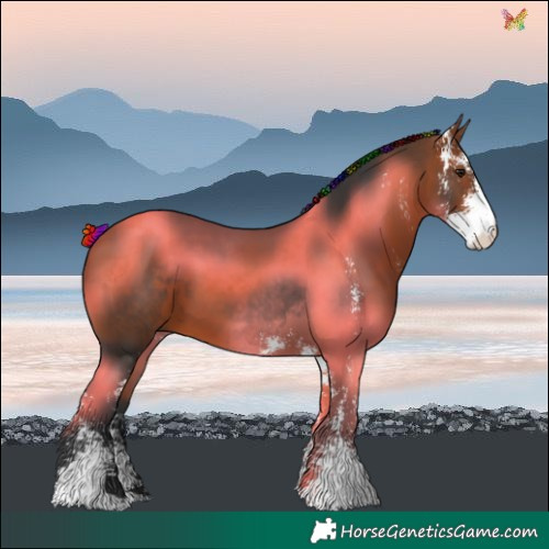 Horse Color:Painted Bay Sabino 