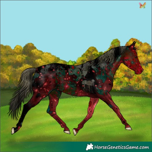 Horse Color:ERROR: UNKNOWN ANOMALY