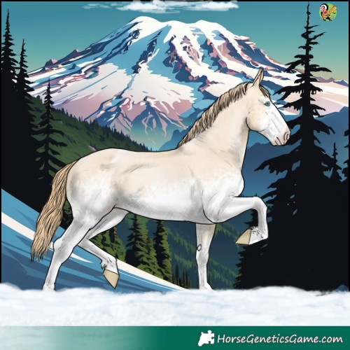 Horse Color:White Spotted Buckskin Pearl Appaloosa 