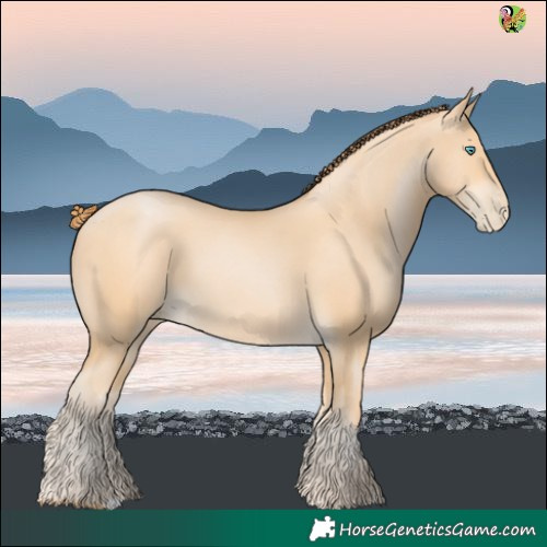 Horse Color:Buckskin Pearl 