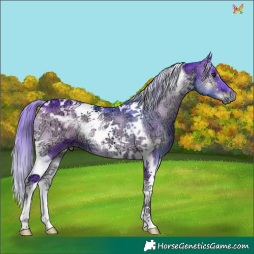 Horse Color:Painted Watercolor Liver Red Onyx Ice Tobiano 