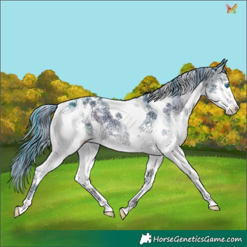 Horse Color:Painted Watercolor Brown Ice Onyx Splash Tobiano 