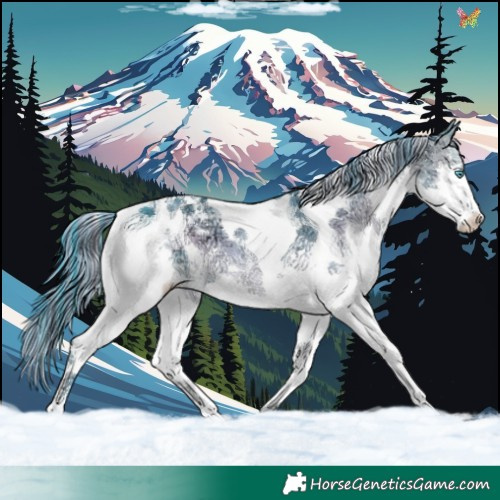 Horse Color:Painted Watercolor Brown Ice Onyx Splash Tobiano 
