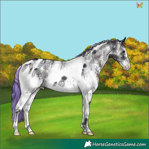 Horse Color:Watercolor Midnight Brown Ice Onyx Sabino Tobiano 