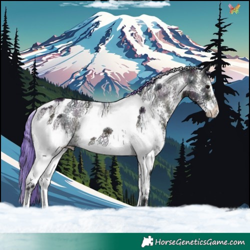 Horse Color:Watercolor Midnight Brown Ice Onyx Sabino Tobiano 