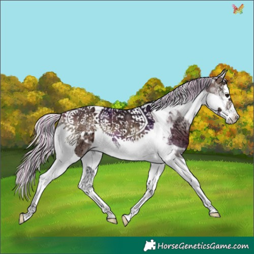 Horse Color:Painted Silver Brown Ice Onyx Splash Tobiano 