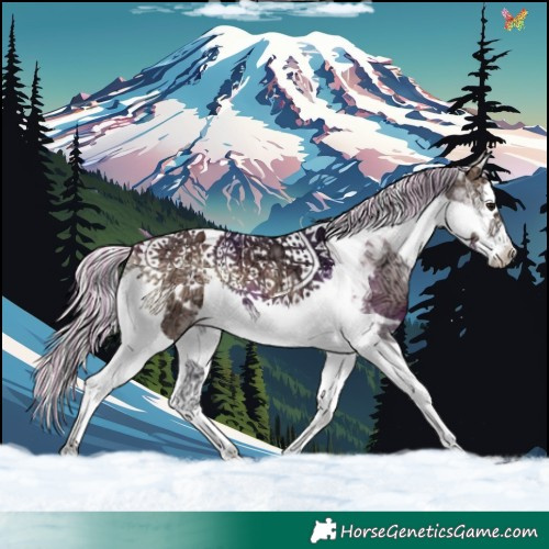Horse Color:Painted Silver Brown Ice Onyx Splash Tobiano 
