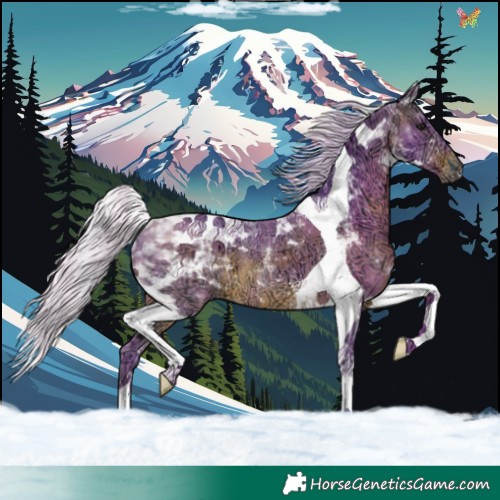 Horse Color:Watercolor Silver Brown Ice Tobiano 