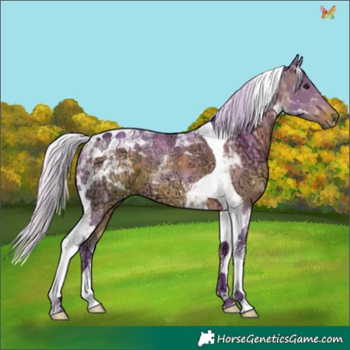 Horse Color:Watercolor Silver Brown Ice Tobiano 