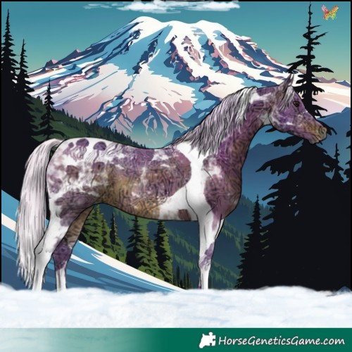 Horse Color:Watercolor Silver Brown Ice Tobiano 