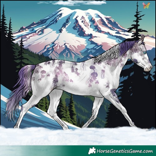 Horse Color:Watercolor Buckskin Ice Onyx Sabino Splash Tobiano 