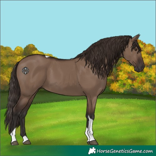 Horse Color:Liver Red Dun Tobiano 