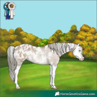 Horse Color:White Spotted Liver Red Dun Mushroom Splash Appaloosa Rabicano