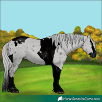 Horse Color:ERROR: UNKNOWN ANOMALY