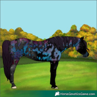 Horse Color:ERROR: UNKNOWN ANOMALY