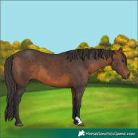Horse Color:Brown 