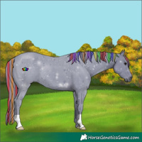Horse Color:Painted Watercolor Smoky Black