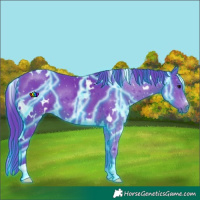 Horse Color:Thunderstruck Watercolor White Spotted Smoky Black