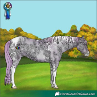 Horse Color:Watercolor Smoky Blue Onyx Chinchilla Ice Pearl Tobiano Brindle