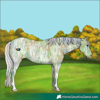 Horse Color:Nacre Watercolor Silver Smoky Black Ice Varnish Rabicano 