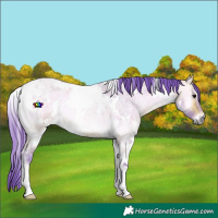 Horse Color:Watercolor White Spotted Buckskin Roan Onyx