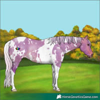 Horse Color:Watercolor White Spotted Silver Buckskin Dun Tobiano 