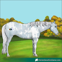 Horse Color:Watercolor White Spotted Silver Smoky Black Blanket