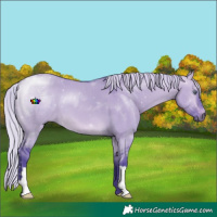 Horse Color:Watercolor Silver Buckskin Chinchilla Dun