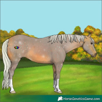 Horse Color:Watercolor Silver Buckskin 