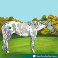 Horse Color:Nacre Watercolor White Spotted Silver Buckskin Dun 