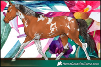 Horse Color:White Spotted Bay Tobiano