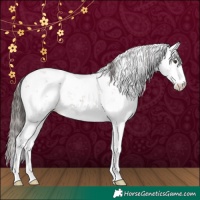 Horse Color:Liver Red Dun Sabino 