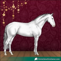 Horse Color:Black Sabino